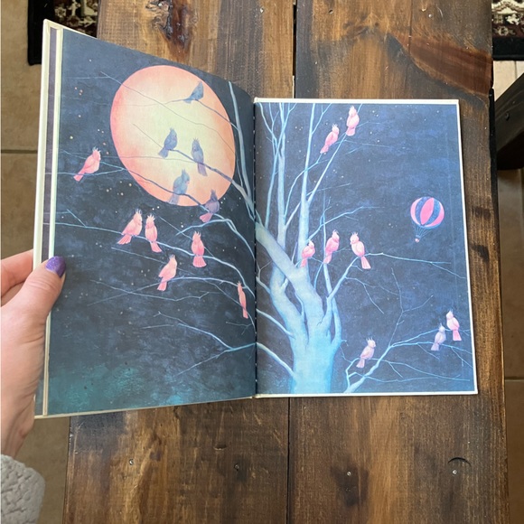 The Gigantic Balloon by Ruth Park - Vintage Book - Hardcover - Collectible Book - Picture 8 of 13